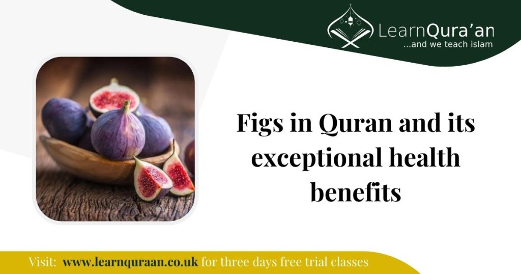 Figs in Quran and its exceptional health benefits
