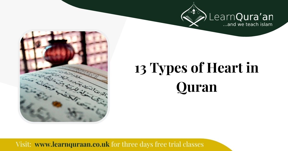 13 Types of Heart in Quran